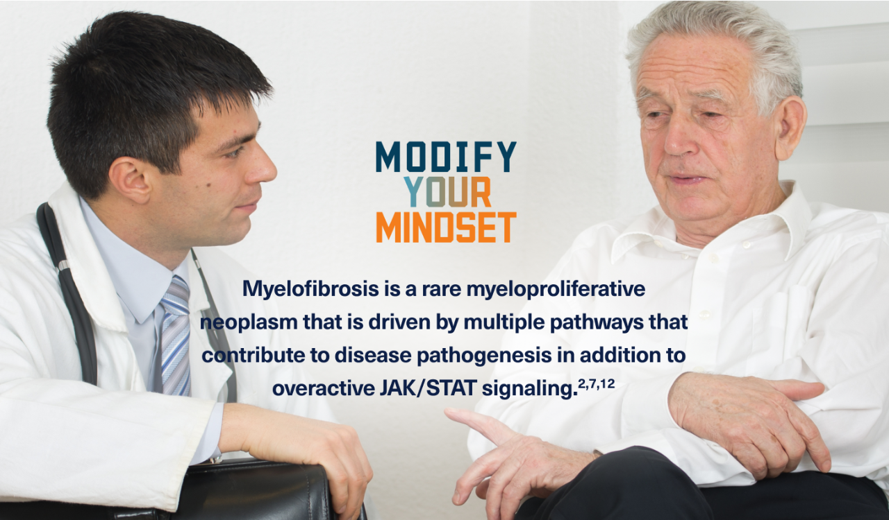 An elderly male myelofibrosis patient sitting and talking with his physician